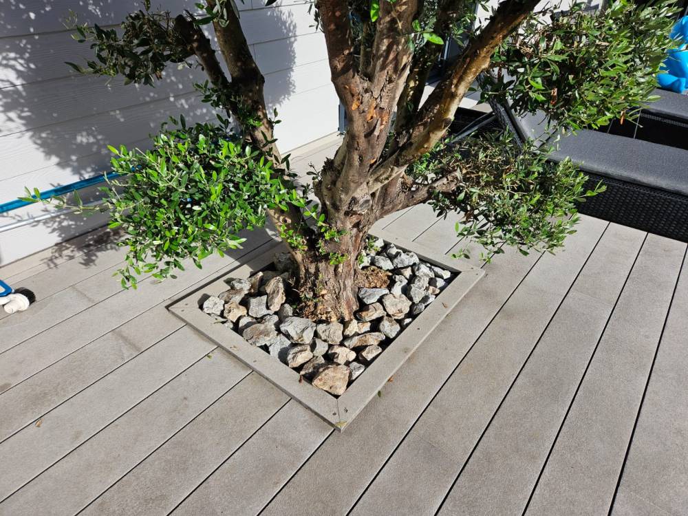 luzetn-terrasse-cedral-soustons (14)